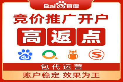 百度竞价赚钱的技巧与成功案例探讨